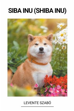 Siba Inu (Shiba Inu) - Szabó, Levente