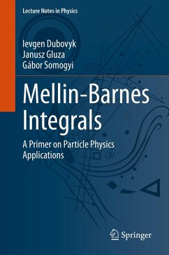 Mellin-Barnes Integrals (eBook, PDF) - Dubovyk, Ievgen; Gluza, Janusz; Somogyi, Gábor