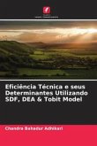 Eficiência Técnica e seus Determinantes Utilizando SDF, DEA & Tobit Model