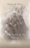 In the Midst of the Storm (eBook, ePUB)
