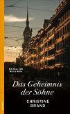 Das Geheimnis der Söhne (eBook, ePUB)