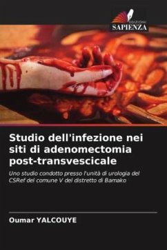 Studio dell'infezione nei siti di adenomectomia post-transvescicale - Yalcouye, Oumar