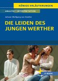 Die Leiden des jungen Werther von Johann Wolfgang von Goethe - Textanalyse und Interpretation (eBook, PDF)