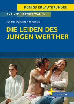 Die Leiden des jungen Werther von Johann Wolfgang von Goethe - Textanalyse und Interpretation (eBook, PDF) - Goethe, Johann Wolfgang von