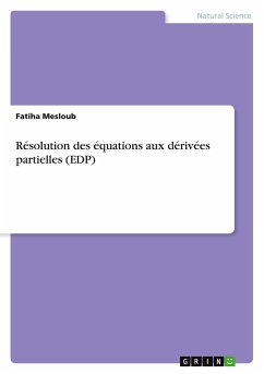 Résolution des équations aux dérivées partielles (EDP) - Mesloub, Fatiha