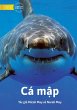 Sharks - Cá m¿p - Bild 1