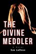 The Divine Meddler - Bild 1