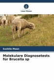Molekulare Diagnosetests für Brucella sp