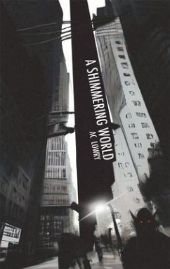 Cover A Shimmering World (eBook, ePUB)