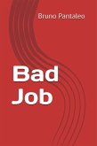 Bad Job (eBook, ePUB)