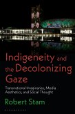 Indigeneity and the Decolonizing Gaze (eBook, ePUB)