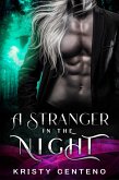 A Stranger in the Night (eBook, ePUB)