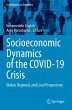 Socioeconomic Dynamics of the COVID-19... - Bild 1