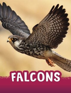 Falcons - Jaycox, Jaclyn