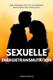 Sexuelle Energietransmutation (eBook, ePUB)
