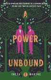 A Power Unbound (eBook, ePUB)