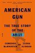 American Gun (eBook, ePUB) - Bild 1