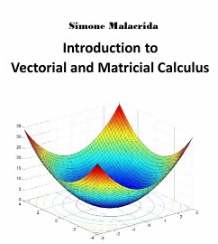 Introduction to Vectorial and Matricial Calculus (eBook, ePUB) - Malacrida, Simone