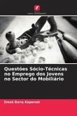 Questões Sócio-Técnicas no Emprego dos Jovens no Sector do Mobiliário