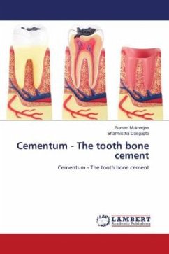 Cementum - The tooth bone cement