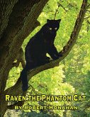 Raven The Phantom Cat
