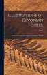 Illustrations of Devonian Fossils, - Bild 1