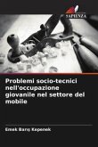 Problemi socio-tecnici nell'occupazione giovanile nel settore del mobile