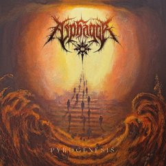 Cover Pyrogenesis