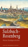 Sulzbach-Rosenberg - Kleine Stadtgeschichte (eBook, ePUB)
