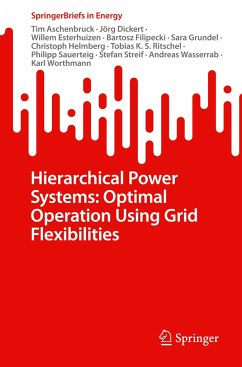 Hierarchical Power Systems: Optimal Operation Using Grid Flexibilities - Aschenbruck, Tim;Dickert, Jörg;Esterhuizen, Willem