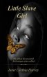Little Slave Girl (eBook, ePUB) - Bild 1