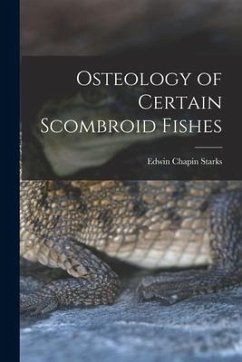 Osteology of Certain Scombroid Fishes - Starks, Edwin Chapin