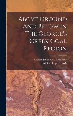 Cover Above Ground And Below In The George's Creek Coal Region
