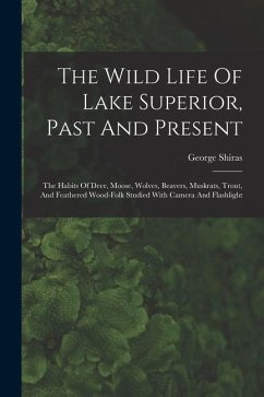 The Wild Life Of Lake Superior, Past And Present: The Habits Of Deer, Moose, Wolves, Beavers, Muskrats, Trout, And Feathered Wood-folk Studied With Ca - Shiras, George