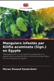Manguiers infestés par Kilifia acuminata (Sign.) en Égypte