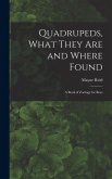 Quadrupeds, What They Are and Where Found Quadrupeds, What They Are and Where Found