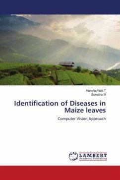 Identification of Diseases in Maize leaves