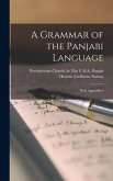 A Grammar of the Panjabi Language: With Appendices