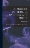 The Book of Butterflies, Sphinges, and Moths: Illustrated by One Hundred and Forty-four Engravings C
