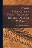 Fossil Lepidosteids From The Green River Shales Of Wyoming