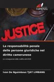 La responsabilità penale delle persone giuridiche nel diritto camerunese