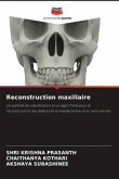 Reconstruction maxillaire