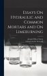 Essays On Hydraulic and Common Mortars... - Bild 1