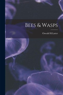 Cover Bees & Wasps