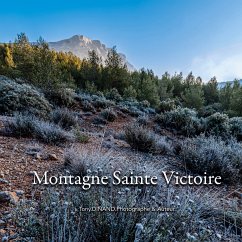 Montagne Sainte Victoire - Chroniques 2022 (eBook, ePUB) - Dinand, Tony