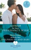 The Nurse's Pregnancy Wish / Healed By Their Dolphin Island Baby (eBook, ePUB)
