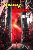 Fantasy Mind Trip Book 1 (Adventure Fiction & Music, #1) (eBook, ePUB)