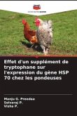 Effet d'un supplément de tryptophane sur l'expression du gène HSP 70 chez les pondeuses