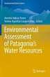 Environmental Assessment of Patagonia's... - Bild 1