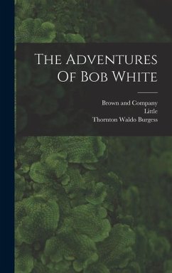 The Adventures Of Bob White - Burgess, Thornton Waldo; Little